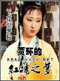 (红楼同人)贾环的红楼之梦