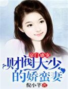 豪门盛宠:财阀大少的娇蛮妻