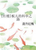 [红楼]板儿的科举之路