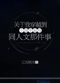 关于我穿越到小说中去写同人文那件事