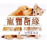 宠物奇缘(渣攻小白受)