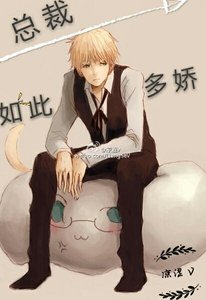 總裁,如此多嬌