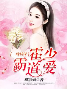 一晚情深,霍少霸道愛