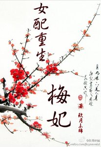 女配重生·梅妃(空間)