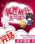 狐狸相公买一送一