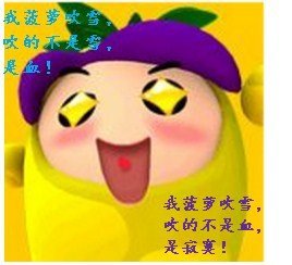 (BL/綜武俠同人)菠蘿要吹雪!