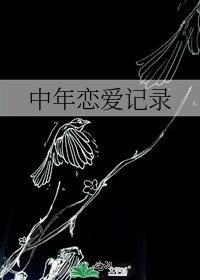 中年戀愛記錄