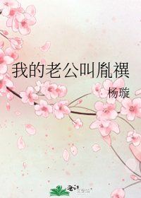 我的老公单胤禩