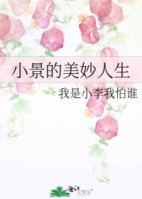 小景的美妙人生