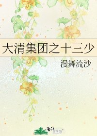 大清集团之十三少