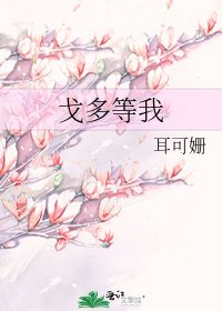 戈多等我
