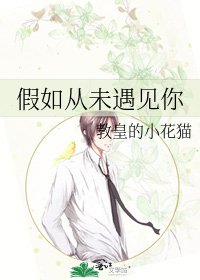 假如从未遇见你
