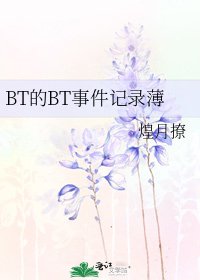 BT的BT事件记录薄
