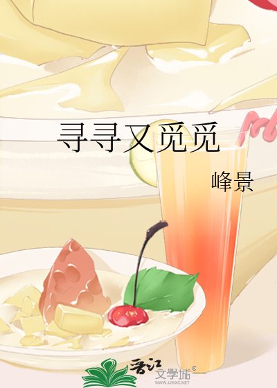 寻寻又觅觅