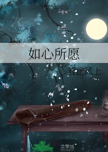 如心所愿