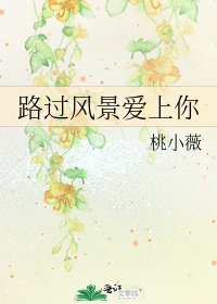 路过风景爱上你