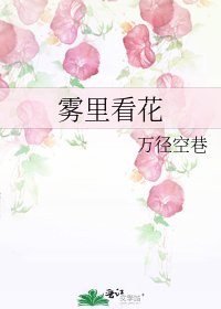雾里看花