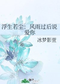 浮生若塵:風雨過後説愛你