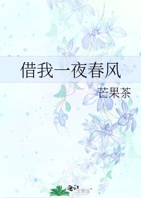 借我一夜好风