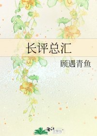 长评总汇