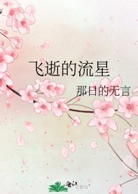 飛逝的流星