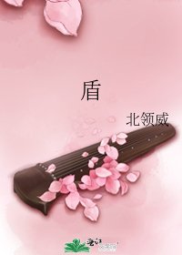 盾
