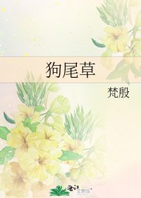 狗尾草