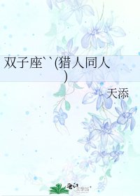 雙子座``(獵人同人)