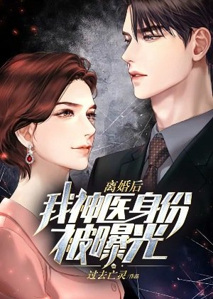 离婚硕,我神医讽份被曝光