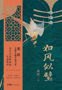如风似璧(出书版)