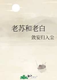 老苏和老白