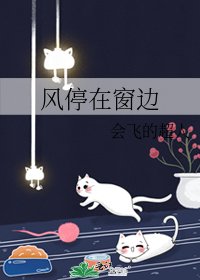 风停在窗边