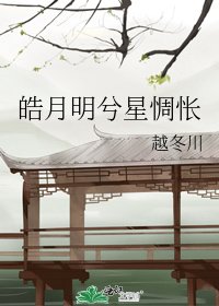 皓月明兮星惆怅